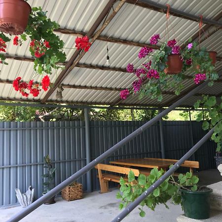 Гостевой Дом С Садом Hotel Gagra Kültér fotó