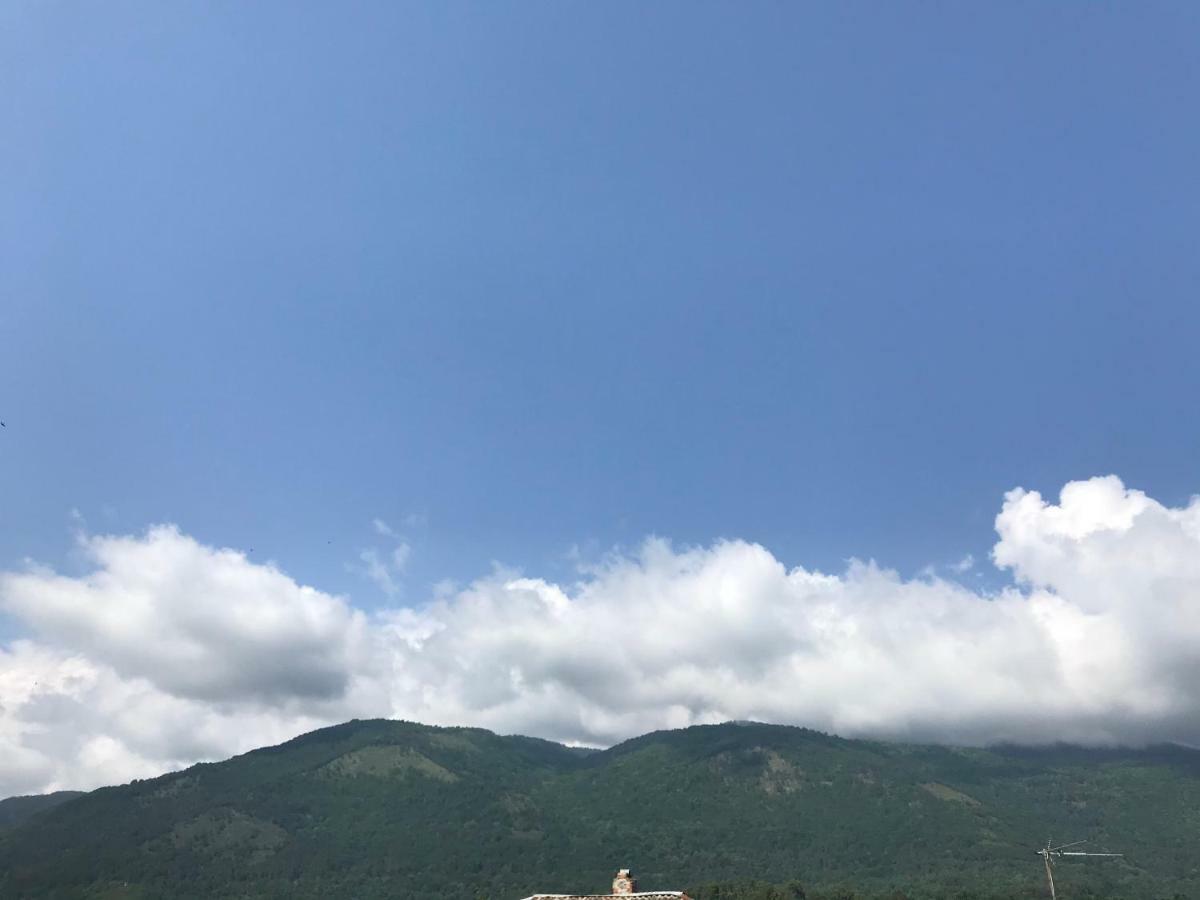 Гостевой Дом С Садом Hotel Gagra Kültér fotó